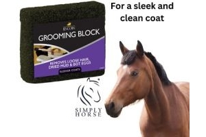 Lincoln Grooming Block  - Easily removes mud and hair from your horse or pony