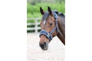 Shires Fleece Lined Lunge Cavesson Navy
