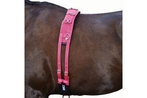 Kincade Brights Deluxe Equigrip Lunge Roller