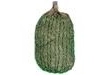 Parell Products Elim-a-Net - Cob - Green