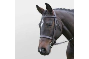 Kincade Hunt Cavesson Bridle ALL SIZES & COLOURS