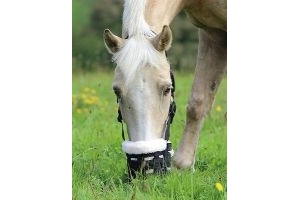Shires Deluxe Comfort Grazing Muzzle Cob Full Pony  Small Pony Extra Full **ALL