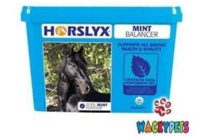 Horslyx Mint Lick Refill 5kg. With Peppermint Oil Horse / Pony (CAL038)
