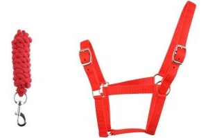 Roma Headcollar and Leadrope Set Red