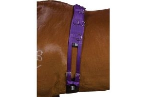 Kincade Deluxe Equigrip Full Size Lunge Roller: Purple