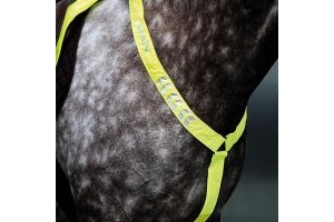 Shires Equi-Flector Breastplate Yellow