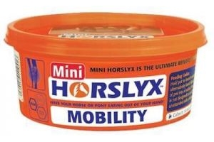 Horslyx MINI Lick Mobility Lick 650g