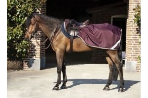 HORSEWARE AMIGO RIPSTOP COMPETITION SHEET WATERPROOF EXERCISE RUG