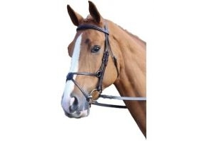 Aviemore Mexican Leather Horse Bridle ER687