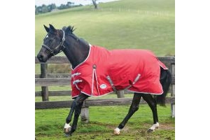ComFITec Classic Standard Neck 0g Lite Turnout Rug Red/Silver
