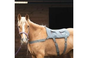 Equilibrium Pony Horse Therapy Massage Pad - Grey One Size