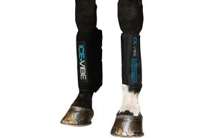 Horseware Ice Vibe Boot