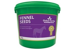 Global Herbs Fennel 1kg - Clear, 1Kg