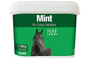 NAF Mint Maintains Healthy Appetite & Healthy Digestion Natural Supplement  500g