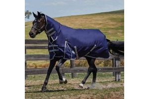 WeatherBeeta ComFiTec Essential 220g Medium Weight Combo Neck Turnout Rug Navy/Silver/Red