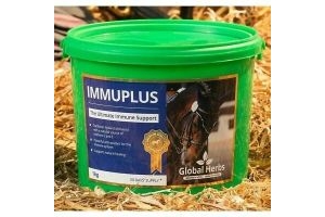 Global Herbs Immuplus Supplement For Horses Ponies 1KG-50 days Supply Echinacea 