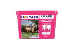 Horslyx Pro Digest Refill 5kg