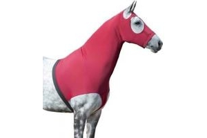 LeMieux Horse Lycra Hood - Elasticated