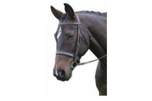 Kincade Hunt Cavesson Bridle | Horses & Ponies