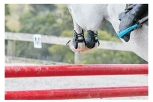 Weatherbeeta Pro Air Fetlock Boots | Horses & Ponies