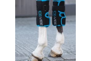 Horseware Ice-Vibe® Knee Wrap Black/Aqua