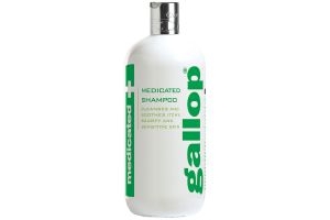 Carr and Day and Martin Gallop Medicated Shampoo
