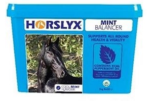 Horslyx Refill Horse Lick (5 kg) (Mint)