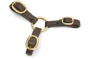 Shires Blenheim 3 Way Leather Couplings: Havana by Shires
