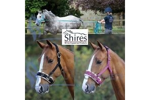 LUNGE CAVESSON | Shires Fleece Lined COMFORT Anti Chafe Horse/Pony for Lunging