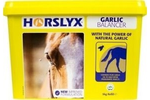 Horslyx Garlic Stable Lick Refill 5kg