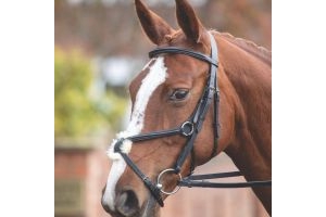 Aviemore Mexican Bridle Black