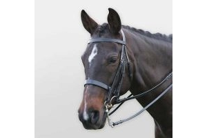Kincade Show Weymouth Bridle ALL SIZES & COLOURS