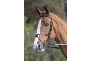 Aviemore Mexican Bridle Brown