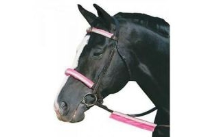 Roma Reflective Bridle Kit | Horses & Ponies