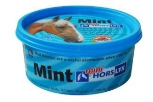 Horslyx CTH0040 Horslyx Mini Licks Horse Lick Mint Balancer 650 grams +1