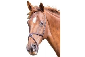 Blenheim Mexican Leather Horse Noseband ER139