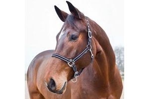 Horze Nice Striped Nylon Horse Halter With Adjustable Noseband And Crown, Black, Gray, Dark Brown, Blue/White, Gray/Whit