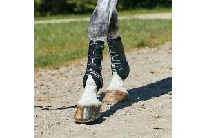 Weatherbeeta Hard Shell Dressage Boots Absorbent and comfortable 3D mesh to w...
