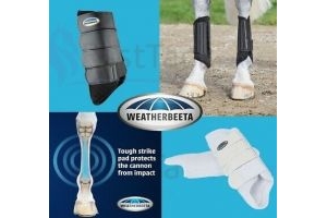 Weatherbeeta EVENTING HIND BOOTS | Waterproof Neoprene Comfort Lined Horse Boots