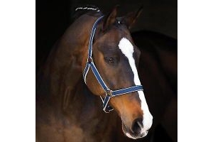 Horseware Amigo Horse Headcollar - Navy/Silver