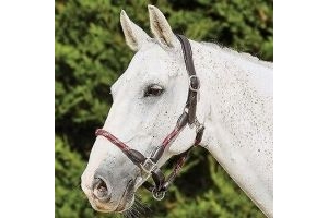 Kincade Leather Rope Headcollar Burgundy/Brown | Horses & Ponies