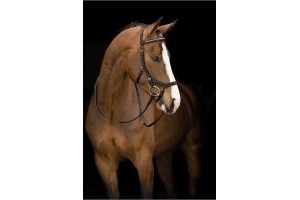 Horseware Rambo Micklem Diamante Competition Bridle - Pony - Black