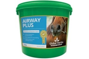 Global Herbs Airway Plus Powder