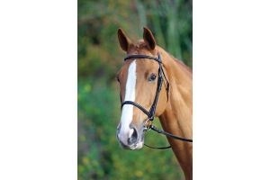 Shires Aviemore Raised Cavesson Bridle Black | Horses & Ponies