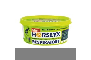 Horslyx Mini Lick Respiratory