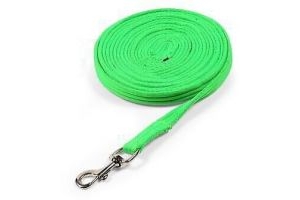 Shires Cushion Web Lunge Line - Green
