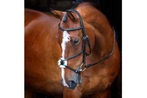 Shires Velociti Grackle Horse Bridle with Sheepskin Padding - Black or Havana