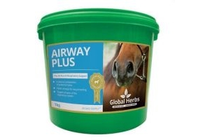 Global Herbs Airway Plus Powder - 1kg Tub Breathing Supplement for Horses/Ponies
