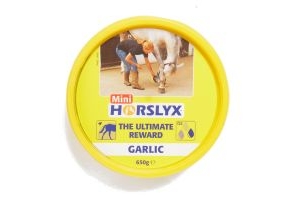 Horslyx Mini Lick Garlic