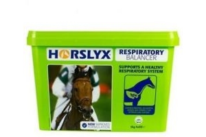 Horslyx Respiratory Stable Lick Refill 5kg